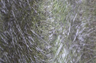 Barton Under Needwood fibreglass roof work